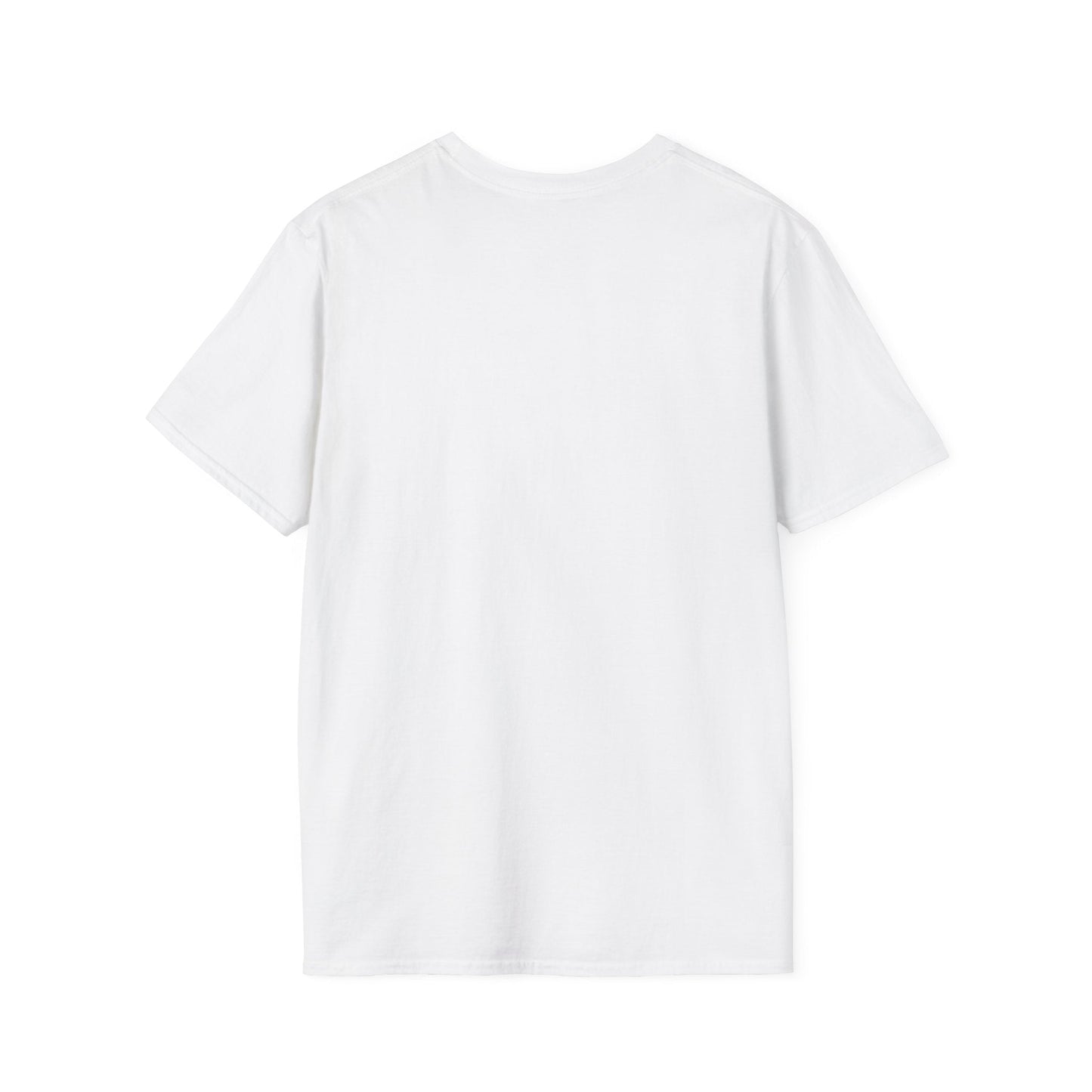 USA Gingham and Stripes Graphic Tee T-Shirt Holley Girl