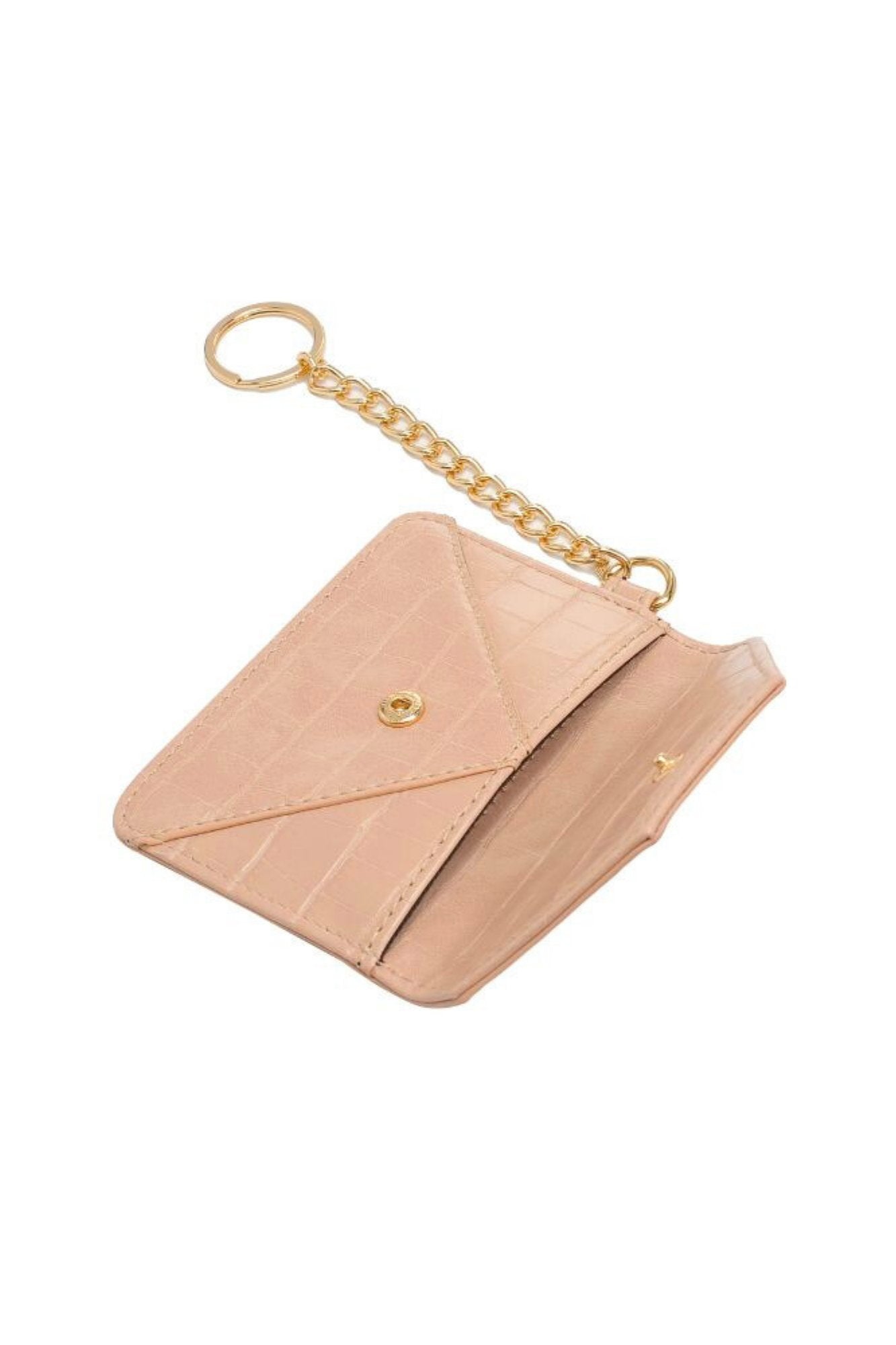 Penny Cardholder in Nude Clothing Holley Girl