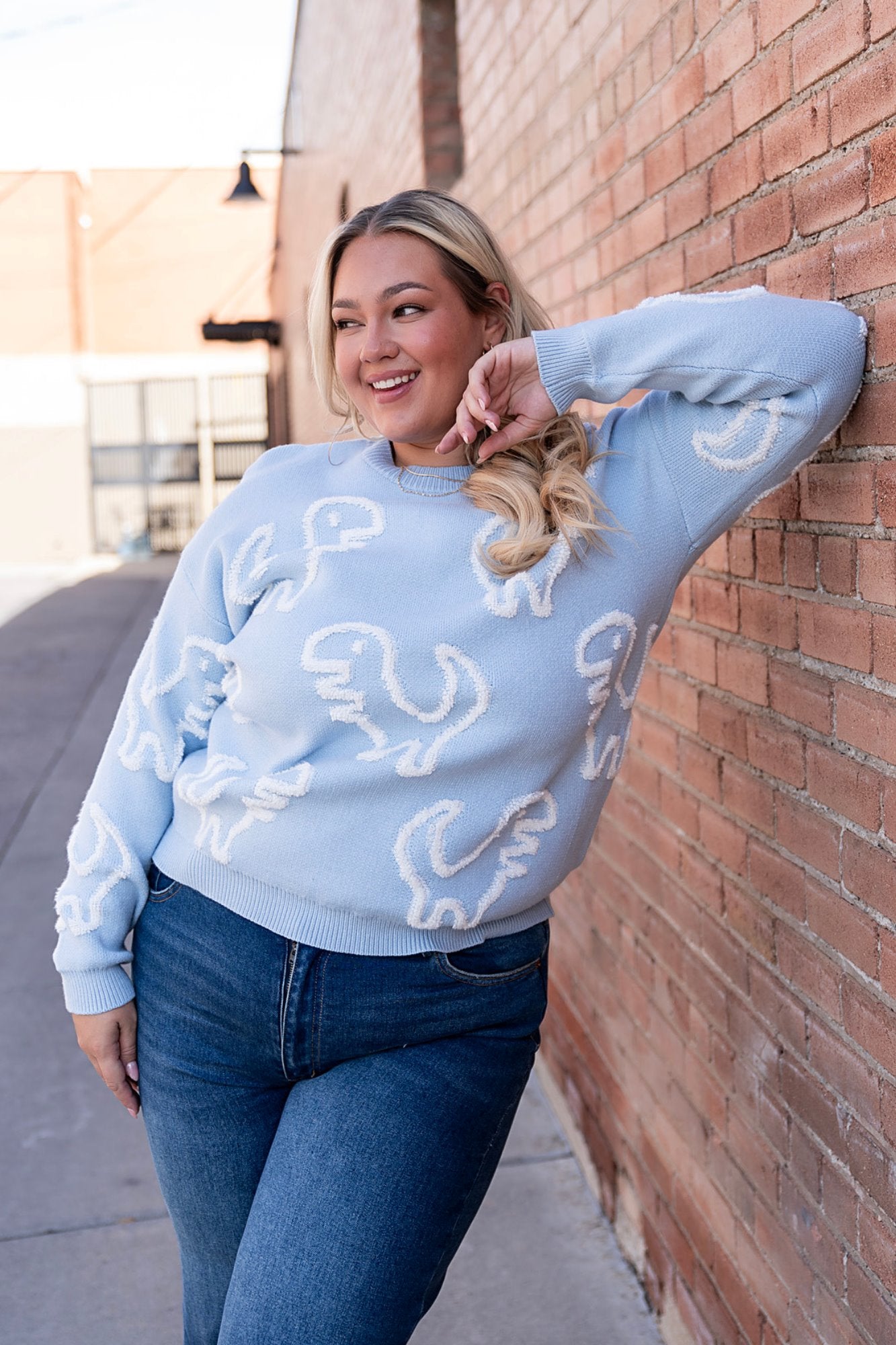 Rex Sweater in Sky Clothing Holley Girl