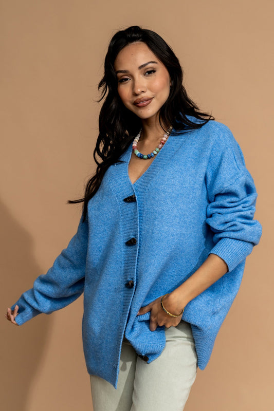 Reeve Cardigan in Coastal Blue Clothing Holley Girl