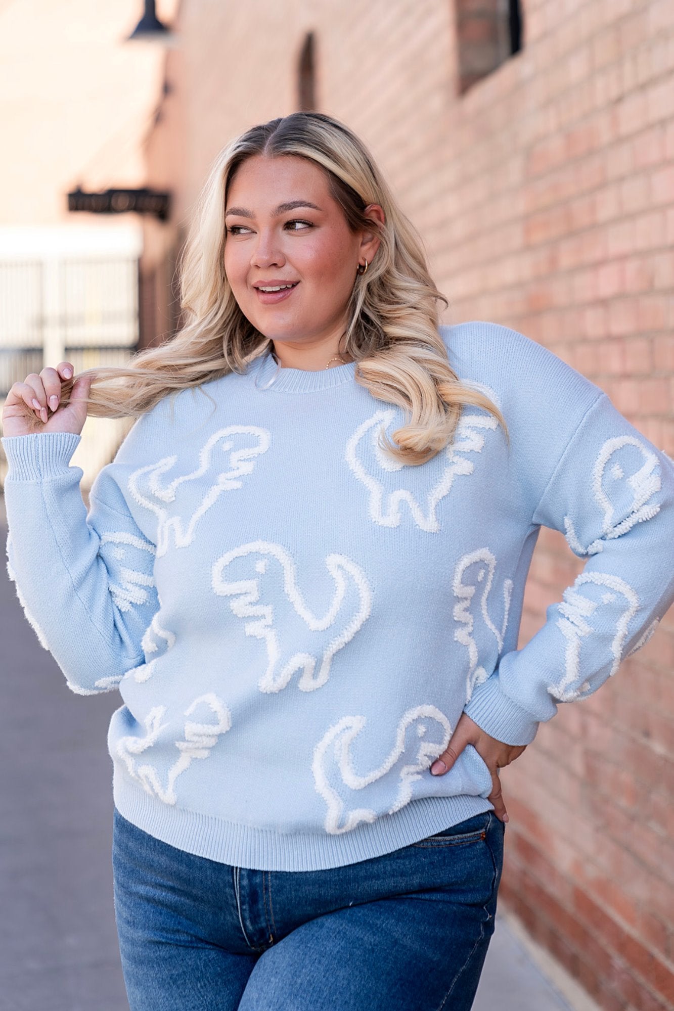 Rex Sweater in Sky Clothing Holley Girl