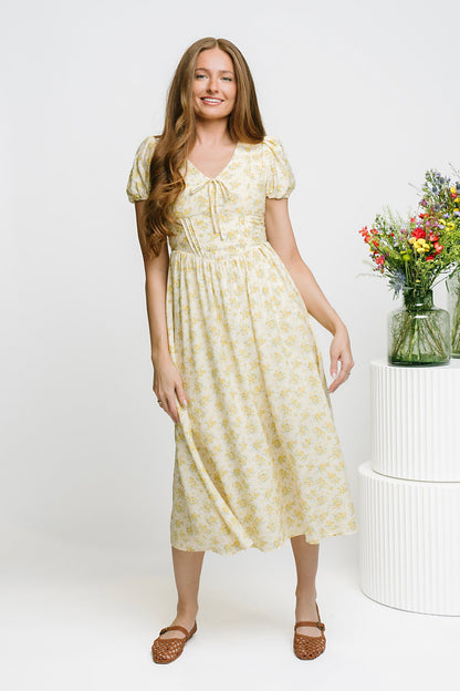 Sunny Creek Dress in Daisy Clothing Holley Girl 