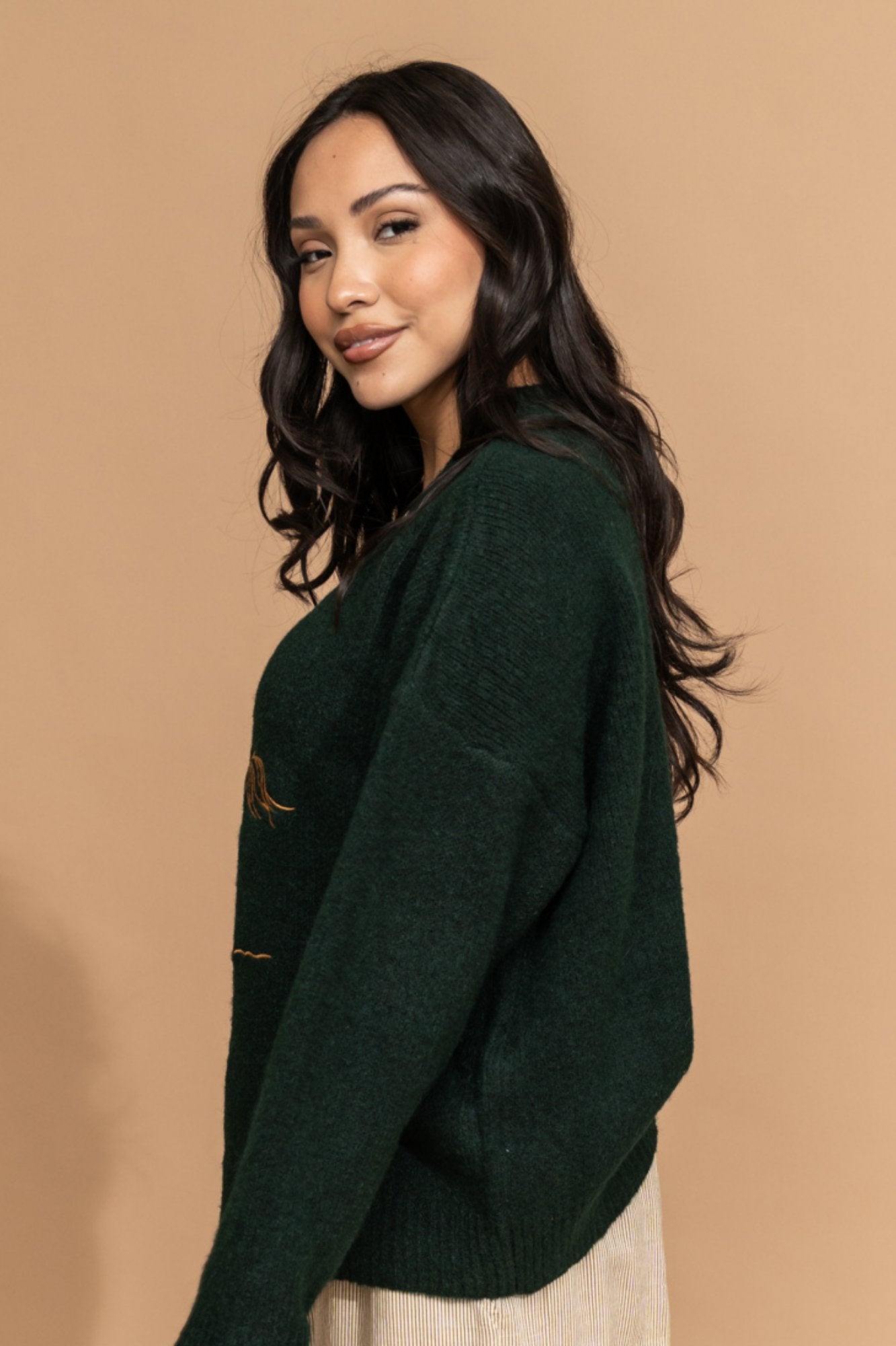 Back in the Saddle Sweater Clothing Holley Girl 