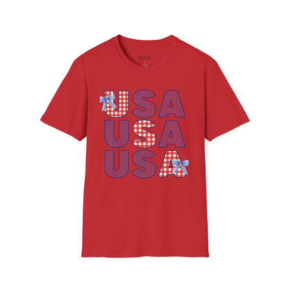 USA Gingham and Stripes Graphic Tee
