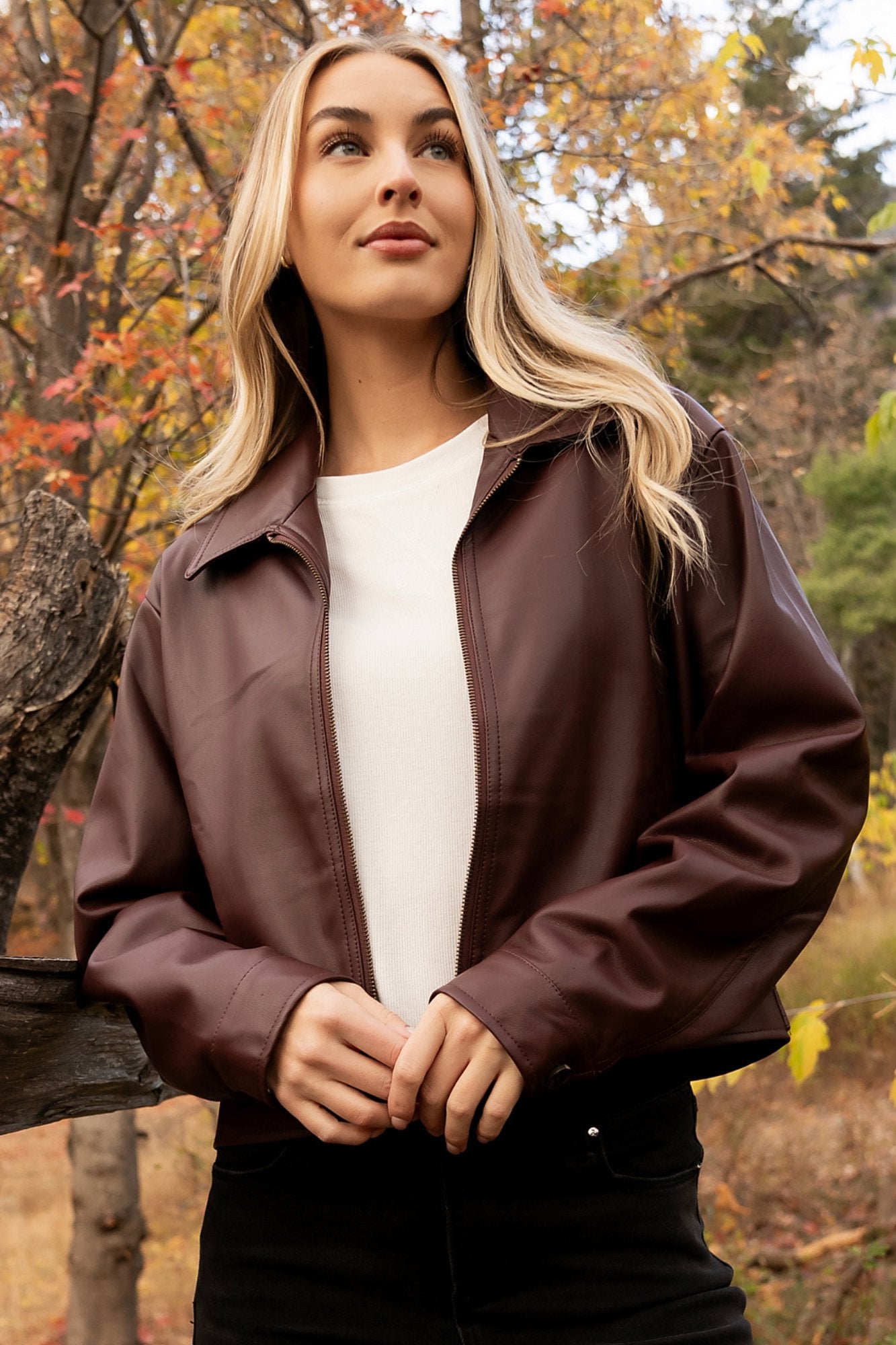 Dark Cherry Jacket Clothing Holley Girl 