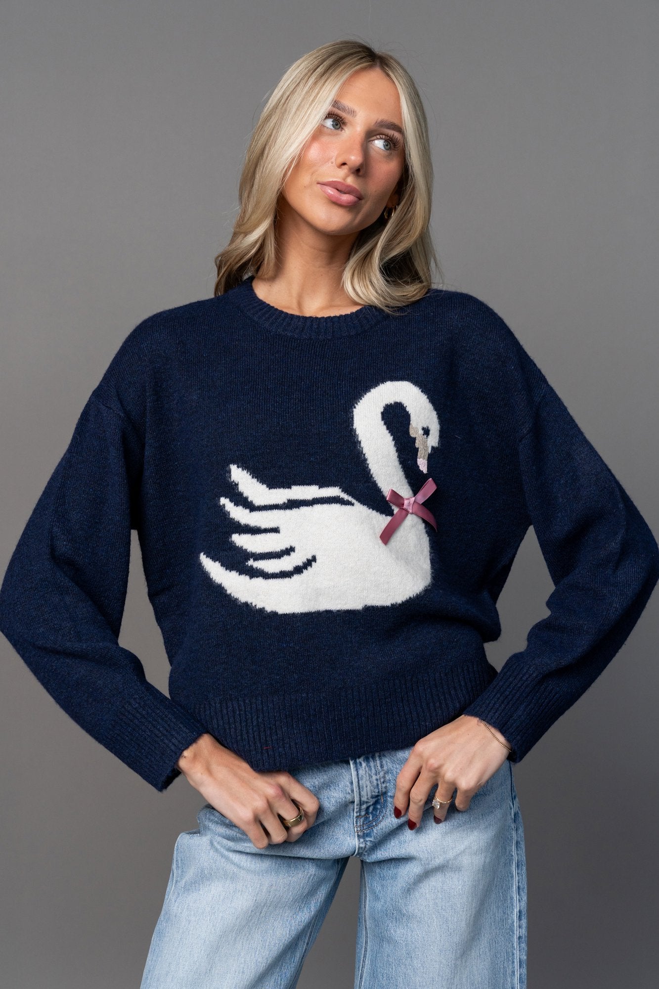 Darling Swan Sweater Clothing Holley Girl 
