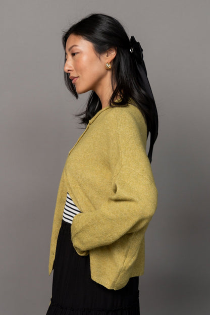 Evanston Cardigan in Leaf Clothing Holley Girl 