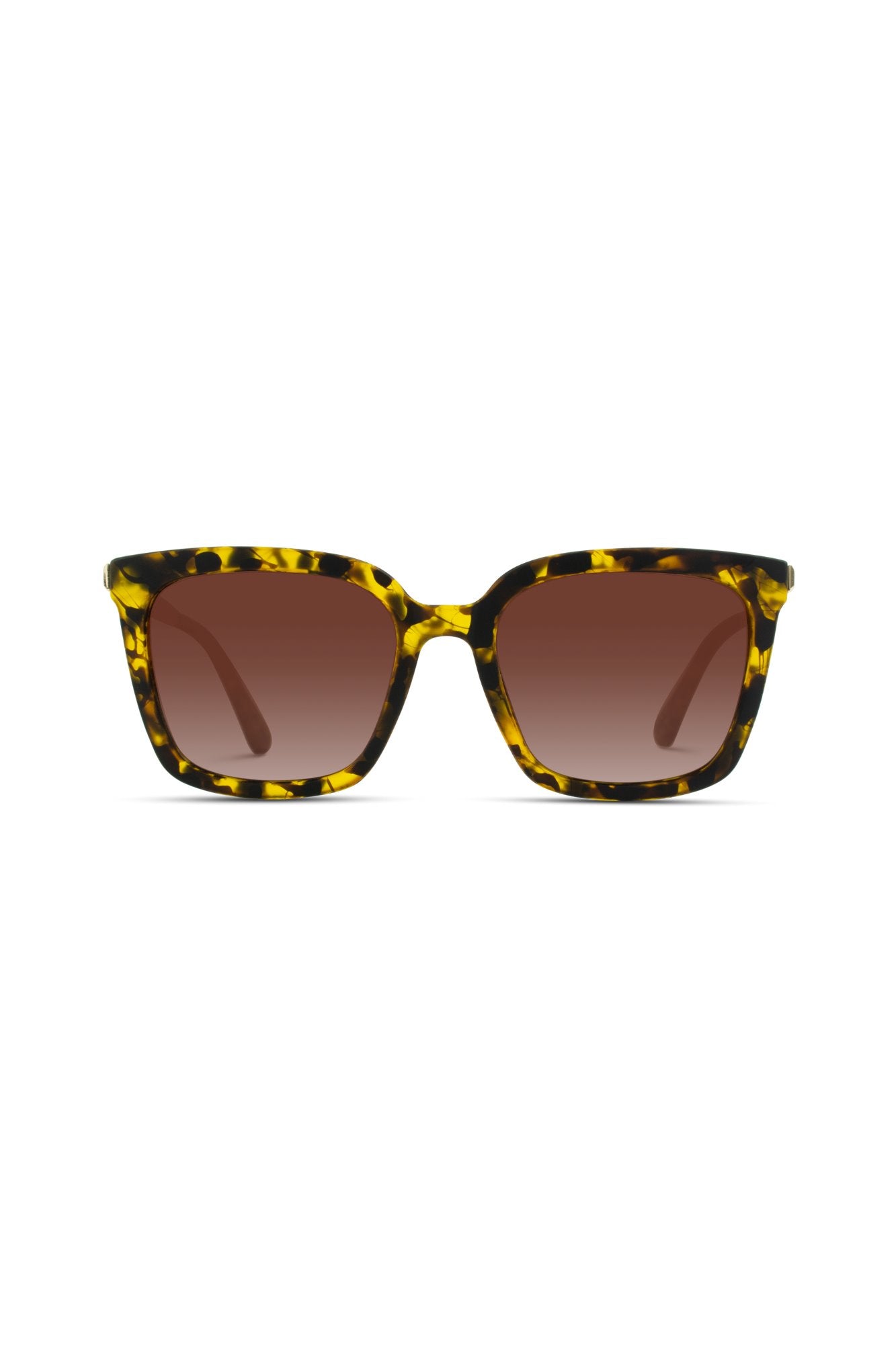 Pierce Sunglasses in Tortoise Holley Girl 